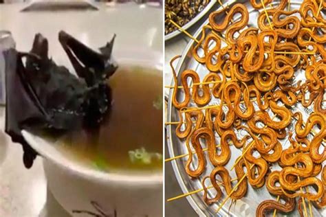 Zuppa di pipistrello