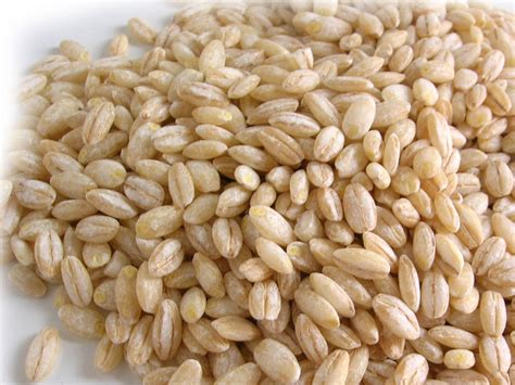 orzo perlato e decorticato