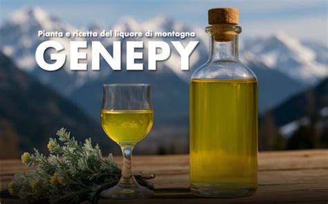 preparazione Genepy