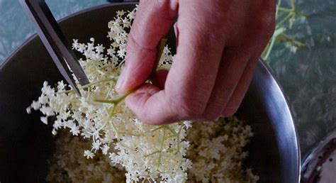 preparazione sciroppo